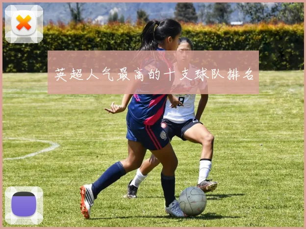 英超人气最高的十支球队排名
